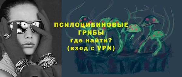 тгк Алексин
