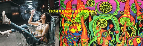 СК Алексеевка