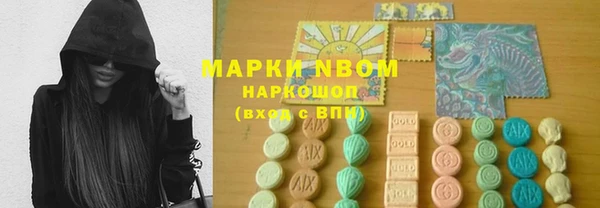 индика Ростов