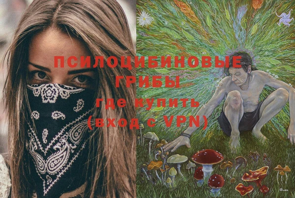 прущая мука Алзамай