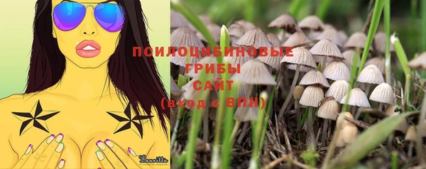 прущая мука Алзамай
