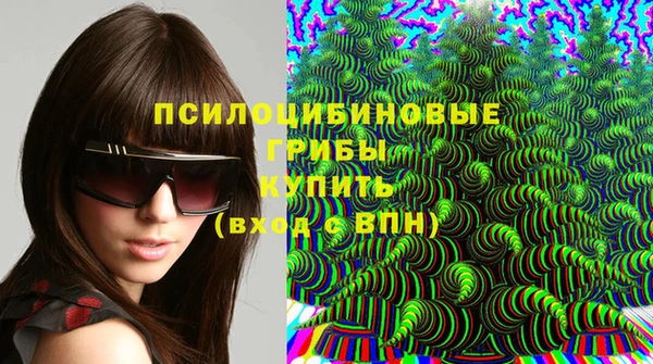 СК Алексеевка