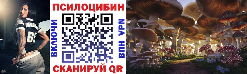 Галлюциногенные грибы Magic Shrooms Калач-на-Дону