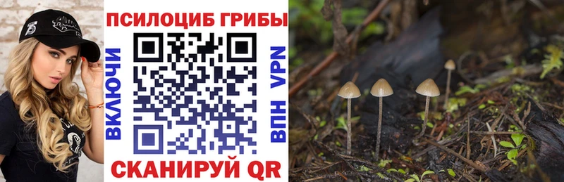 Галлюциногенные грибы Cubensis  закладки  Калач-на-Дону 